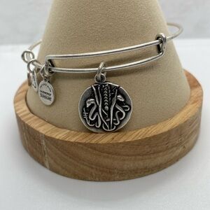 Alex and Ani Reed Charm Bangle Bracelet/Rafaelian Silver/Like New